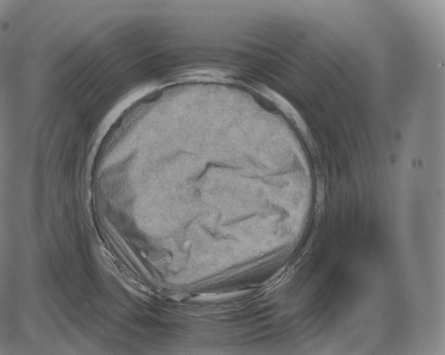 X0000083981435200703161546