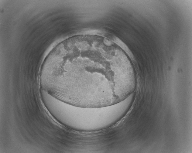 X0000083981436200703161546