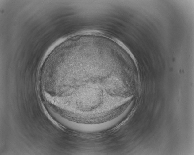 X0000083981437200703161546