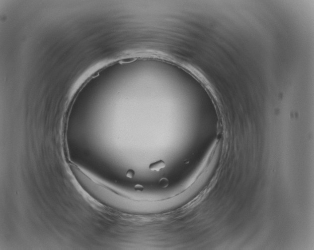 X0000083981438200703161546