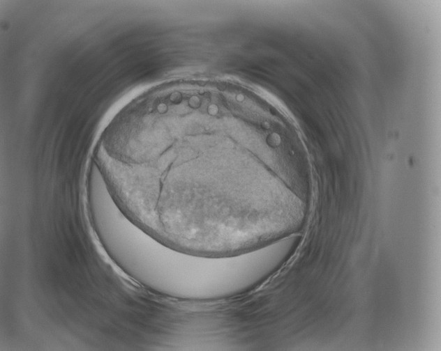 X0000083981440200703161546