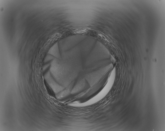 X0000083981441200703161545