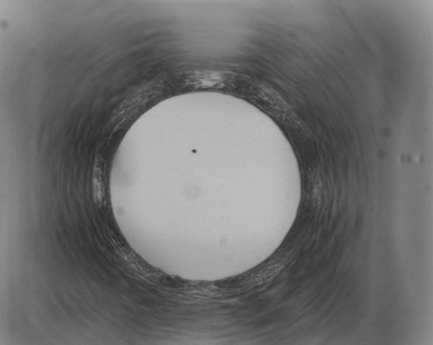 X0000083981442200703161545