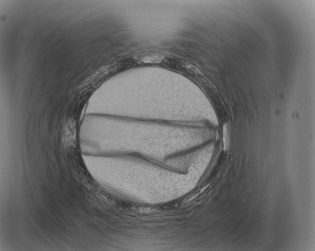 X0000083981443200703161545