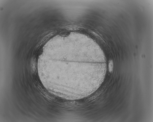 X0000083981444200703161545