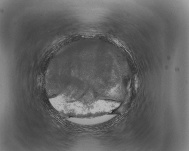 X0000083981445200703161545