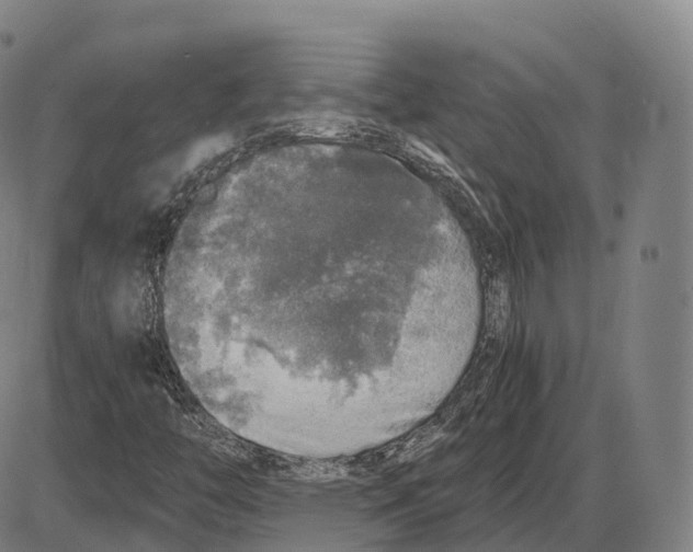 X0000083981446200703161545