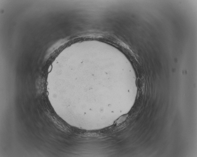 X0000083981448200703161545