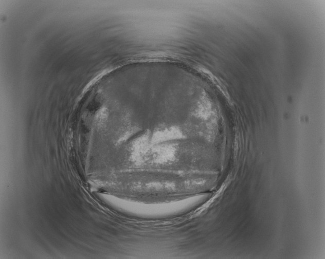 X0000083981449200703161545