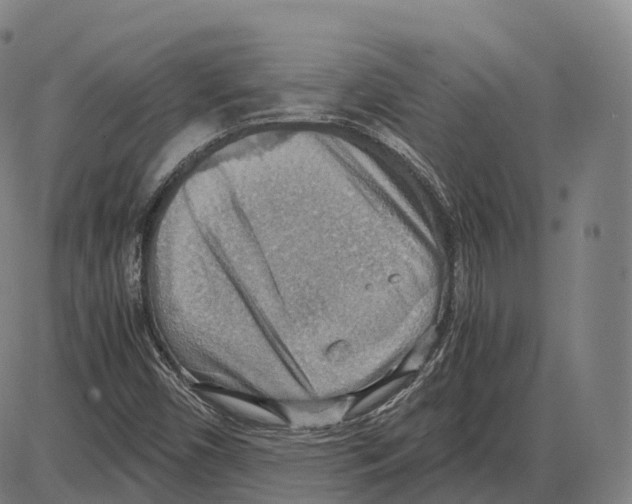 X0000083981450200703161545