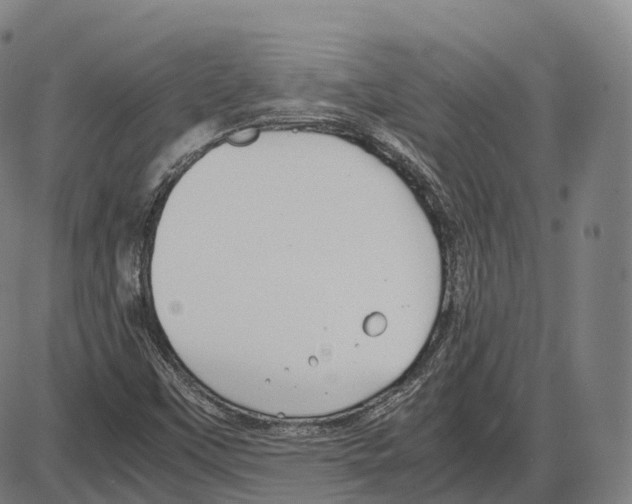 X0000083981451200703161545