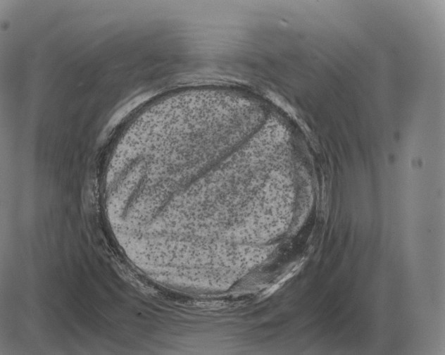 X0000083981453200703161545