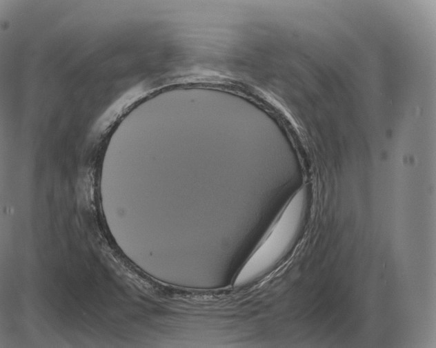 X0000083981455200703161545