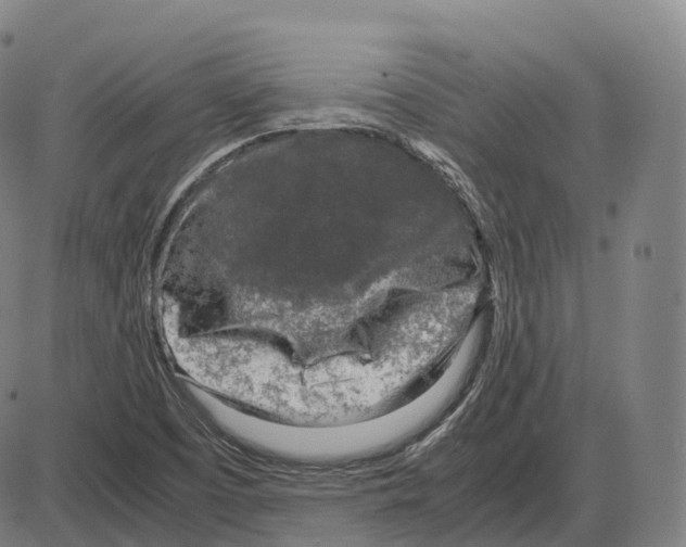 X0000083981457200703161545