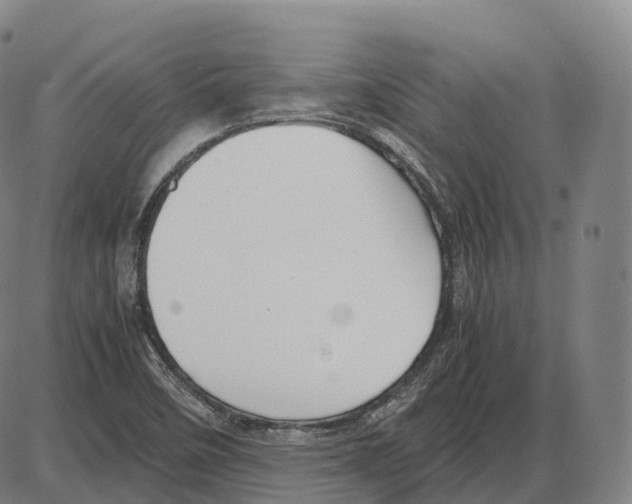 X0000083981458200703161545