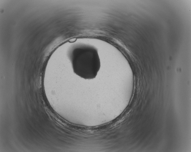 X0000083981459200703161544