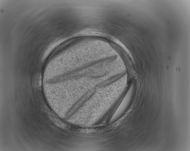 X0000083981461200703161544