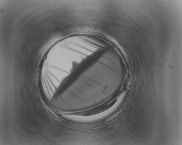 X0000083981463200703161544