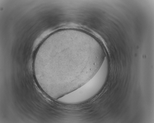 X0000083981464200703161544