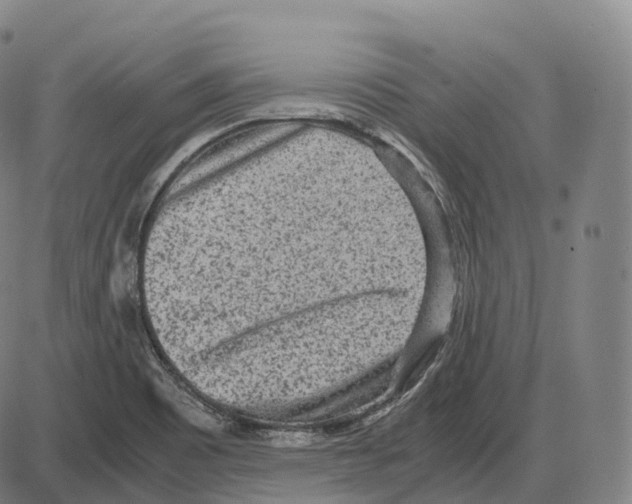 X0000083981465200703161544