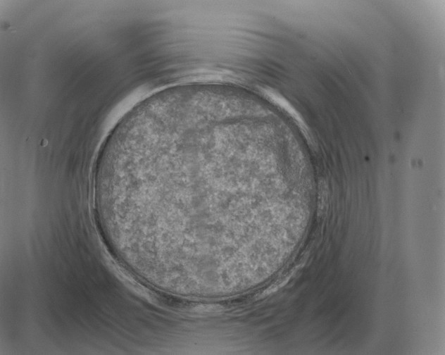 X0000083981467200703161544