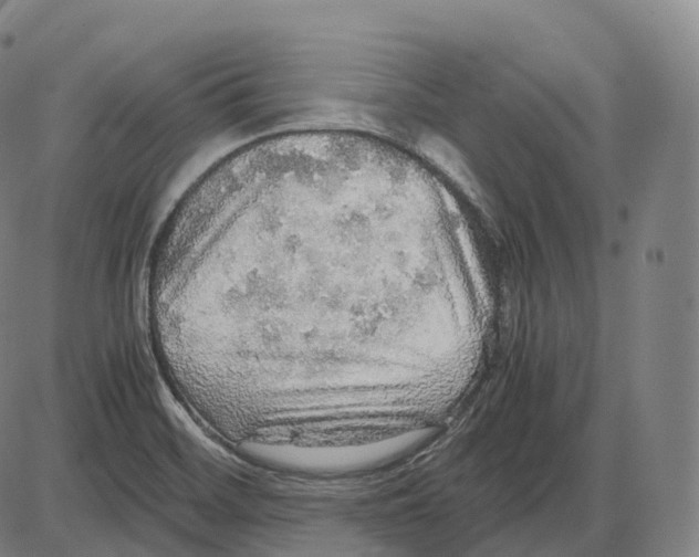 X0000083981468200703161544