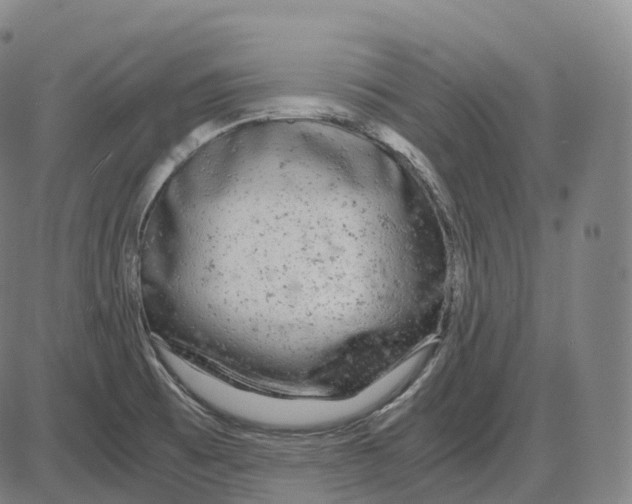 X0000083981473200703161544