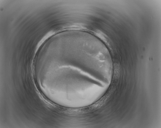 X0000083981474200703161544