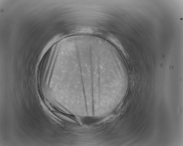 X0000083981475200703161544