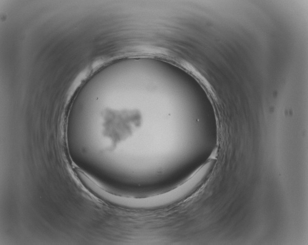 X0000083981477200703161544