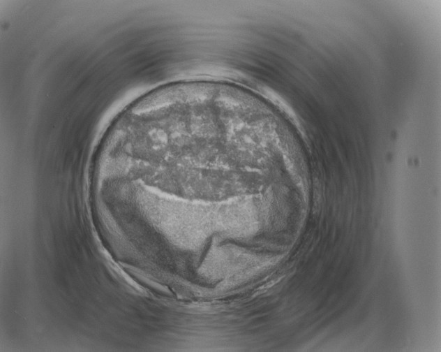 X0000083981480200703161544