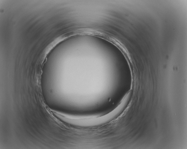 X0000083981481200703161544