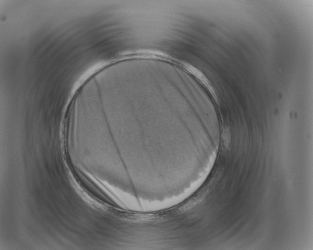 X0000083981482200703161544