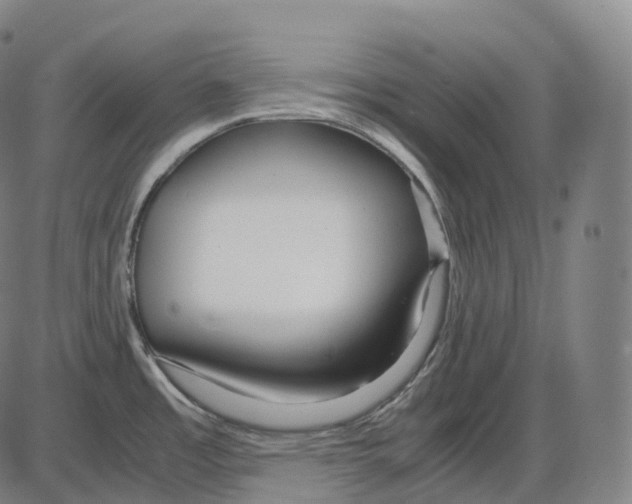 X0000083981485200703161544