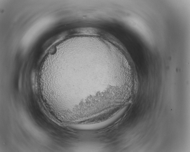 X0000083981487200703161544