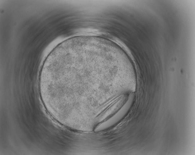 X0000083981488200703161544