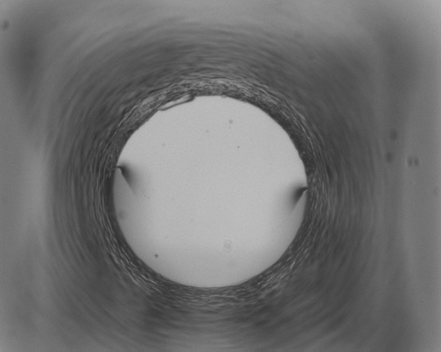 X0000083981489200703161543