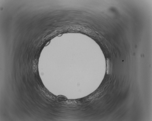 X0000083981491200703161543