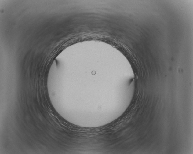 X0000083981492200703161543