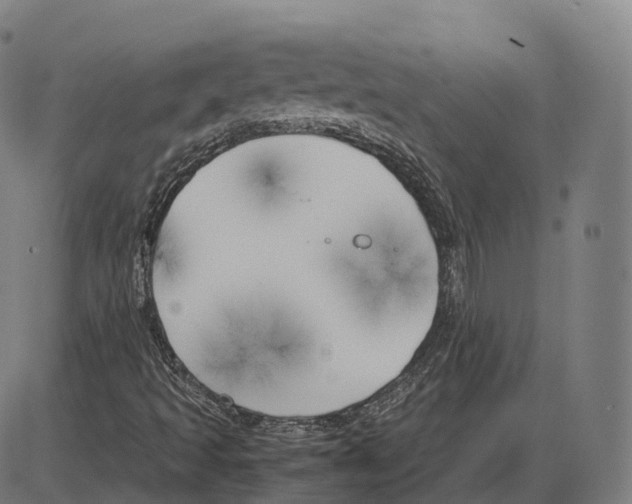 X0000083981493200703161543