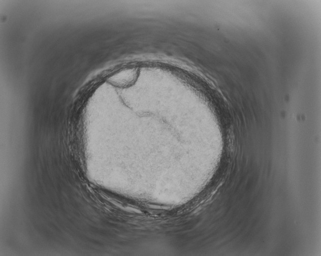 X0000083981494200703161543