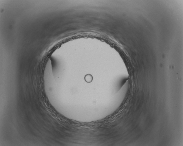 X0000083981496200703161543