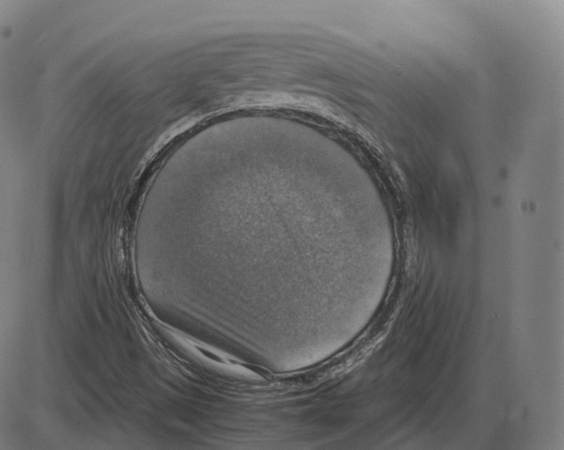 X0000083981497200703161543