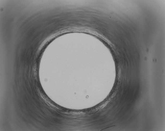 X0000083981498200703161543