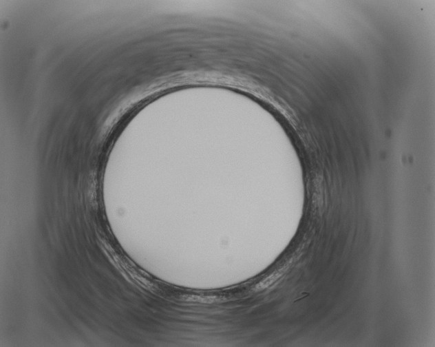 X0000083981499200703161543