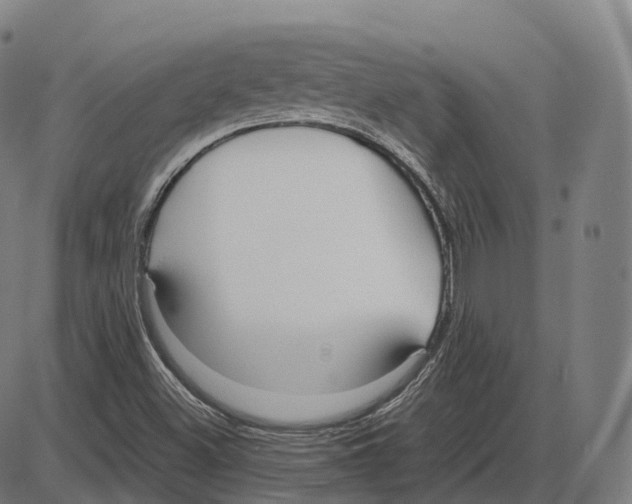 X0000083981500200703161543