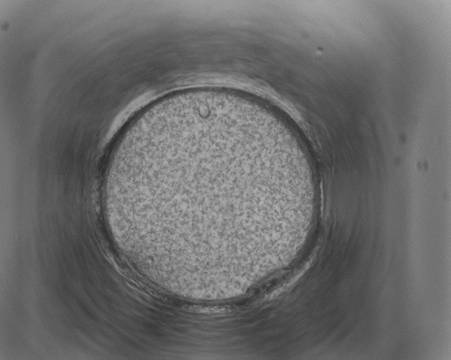 X0000083981501200703161543