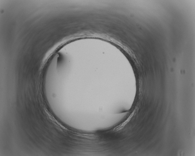 X0000083981502200703161543