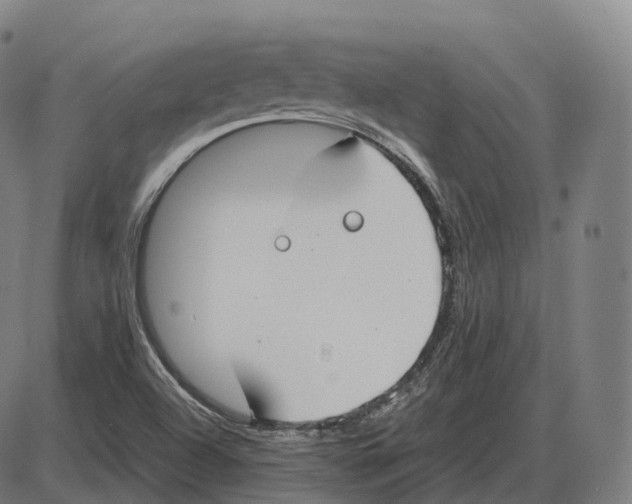 X0000083981504200703161543