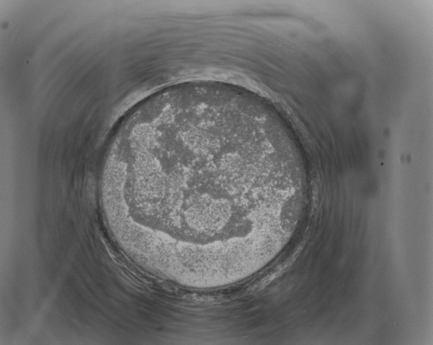 X0000083981505200703161543